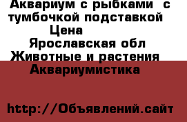 Аквариум с рыбками, с тумбочкой-подставкой › Цена ­ 6 000 - Ярославская обл. Животные и растения » Аквариумистика   
